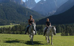 Reiten, Pferde und Pferdetrekking in den Dolomiten