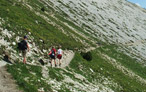 Wandern und Bergsteigen in den Dolomiten