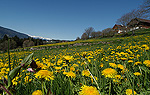 Pustertal