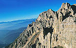 Rosengarten