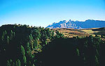 Rosengarten