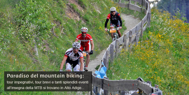Alto Adige