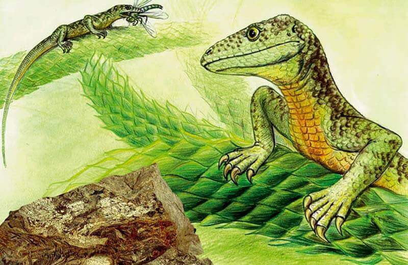 Entstehung der Dolomiten