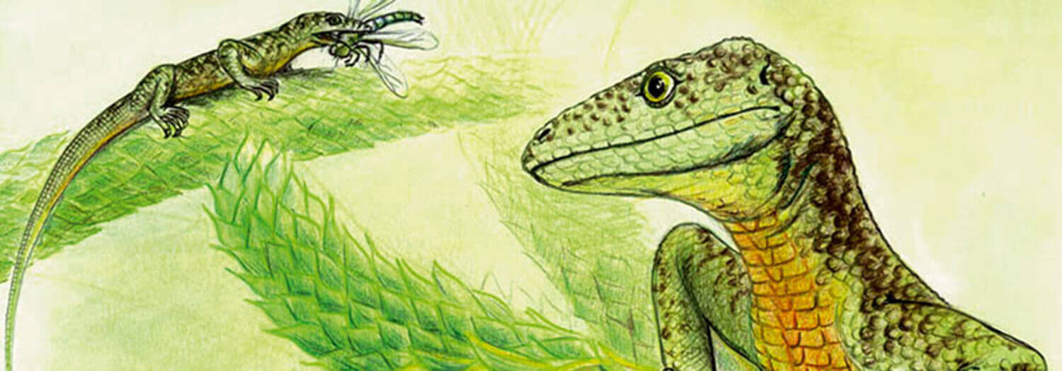 Entstehung der Dolomiten