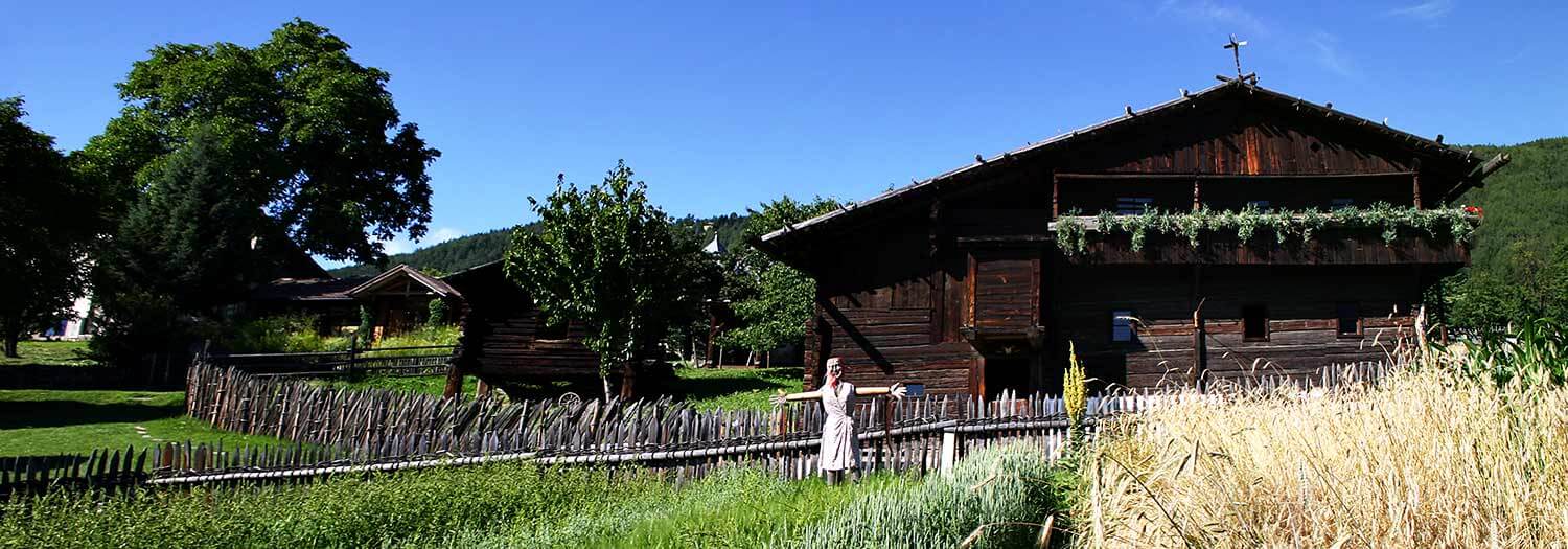 Landesmuseum Dietenheim