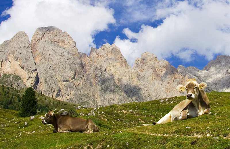 Naturpark Puez-Geisler