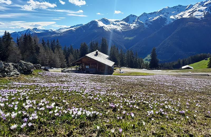 Mai in den Dolomiten
