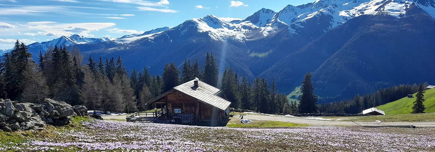 Mai in den Dolomiten