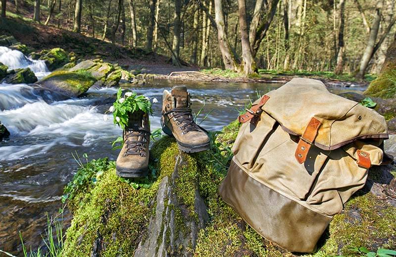 Almenwanderung bei Maria Weißenstein