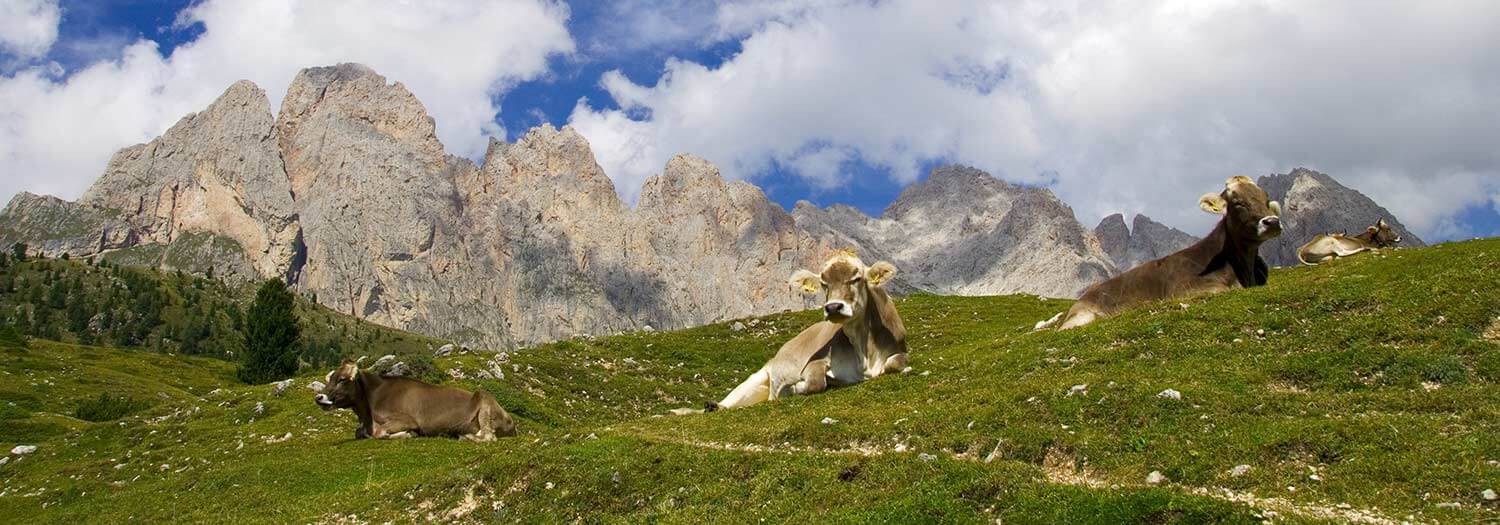 Rundwanderung am Fuße der Geisler