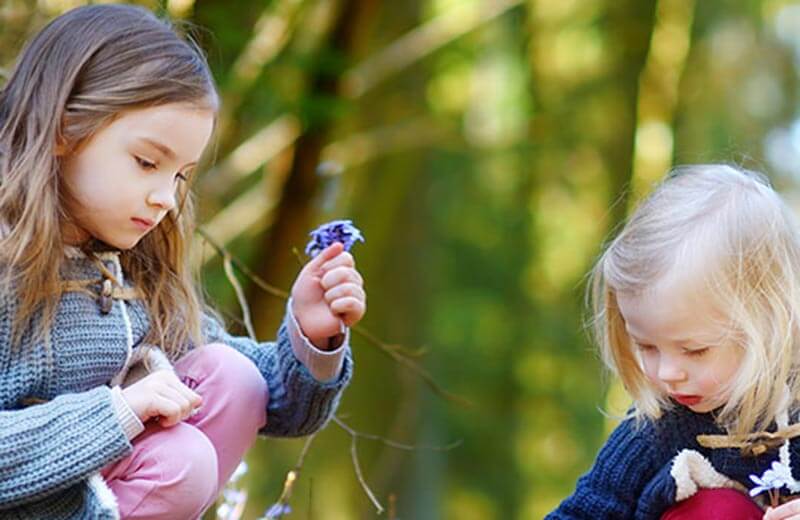 Geologische Wanderungen im Gadertal