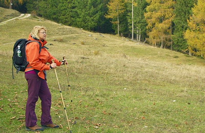 Lärchenweg in St. Kassian