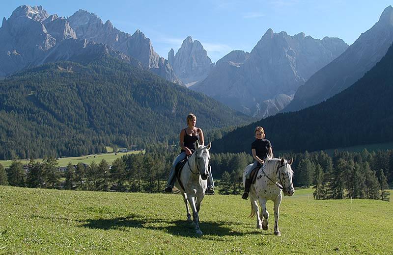 Reiten & Pferdetrekking