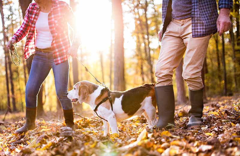 Rundwanderung Raschötzer Kreuz