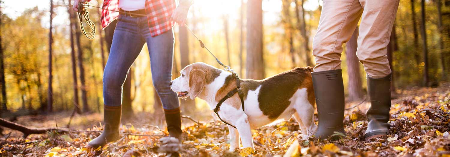 Rundweg Raschötzer Kreuz