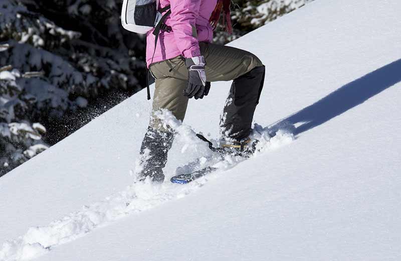 Schneeschuhwanderung auf den Zanggenberg