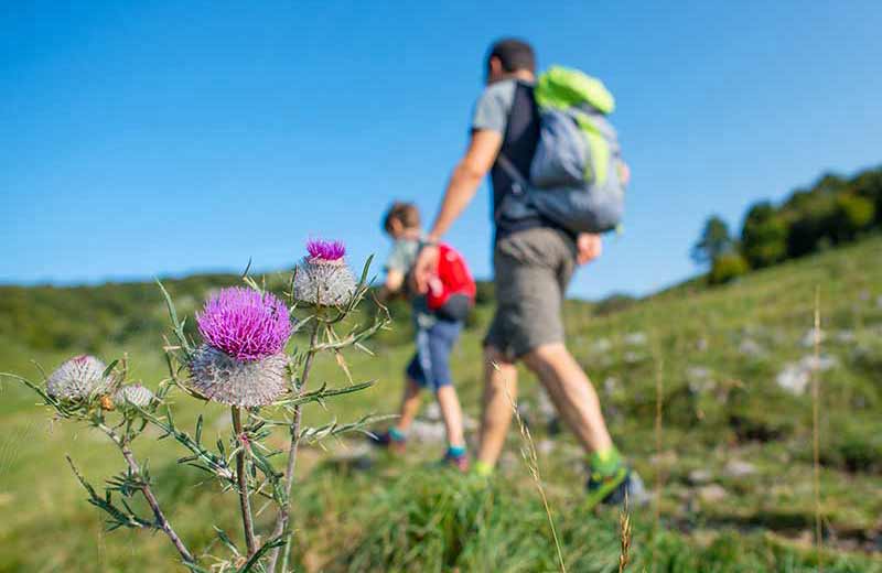 Wandern Gitschberg Jochtal