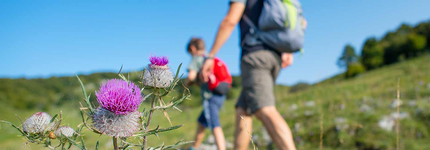 Wandern in Gitschberg Jochtal