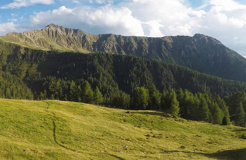 Wandern am Kronplatz