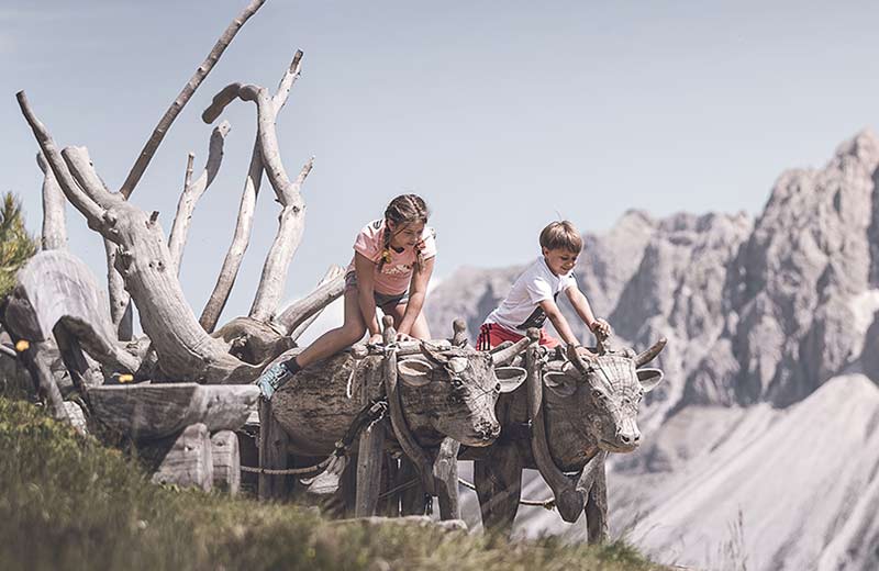 WoodyWalk auf der Plose