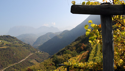 Steinegg Rosengarten