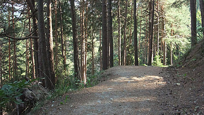 Lajen Wanderweg