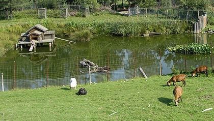 Tierpark