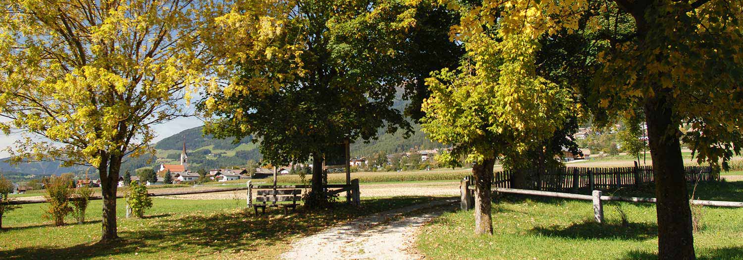 Pfalzen in den Dolomiten