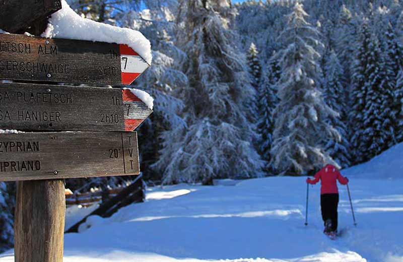 Tiers am Rosengarten
