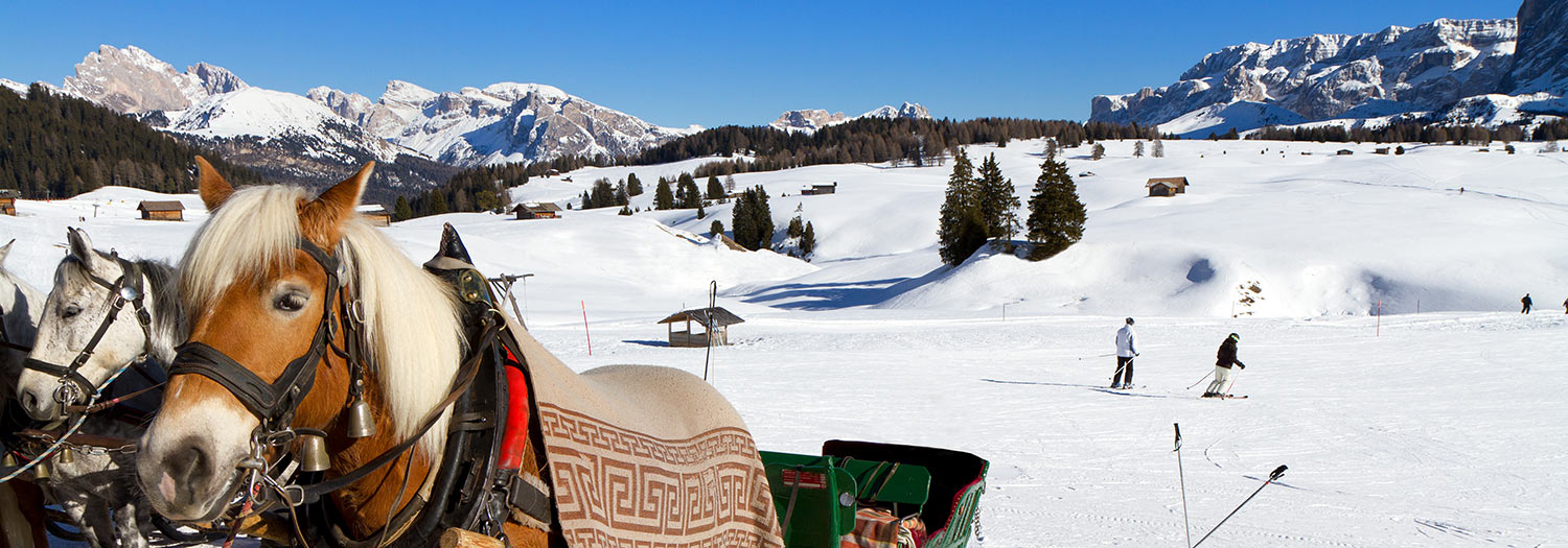 Seiser Alm in den Dolomiten