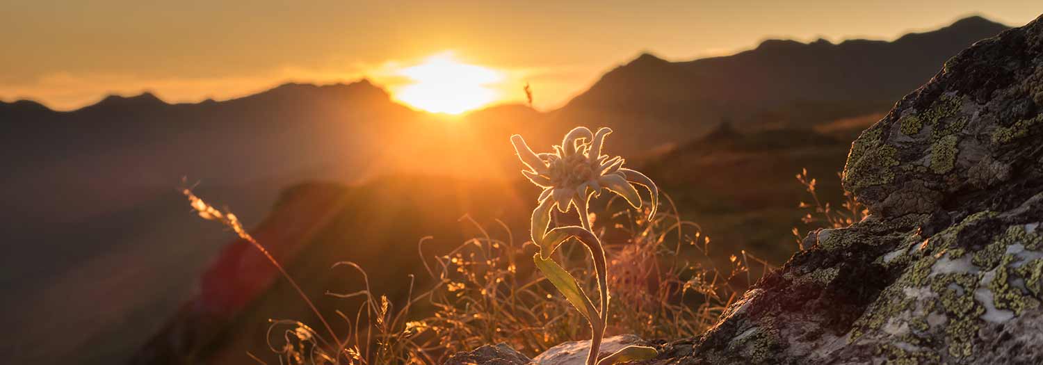 Escursioni per vivere l’alba nelle Dolomiti