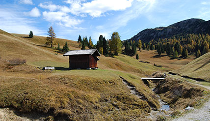 prato piazza autunno
