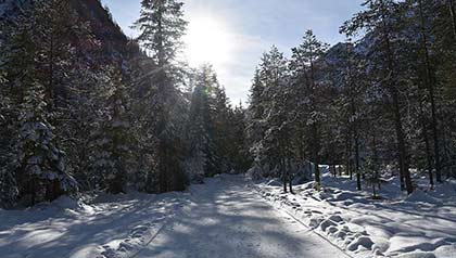pista sci di fondo cortina dobbiaco