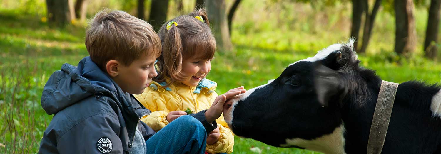 Vacanze in agriturismo