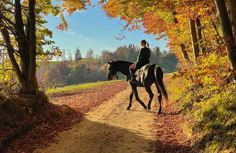 Equitazione e trekking a cavallo