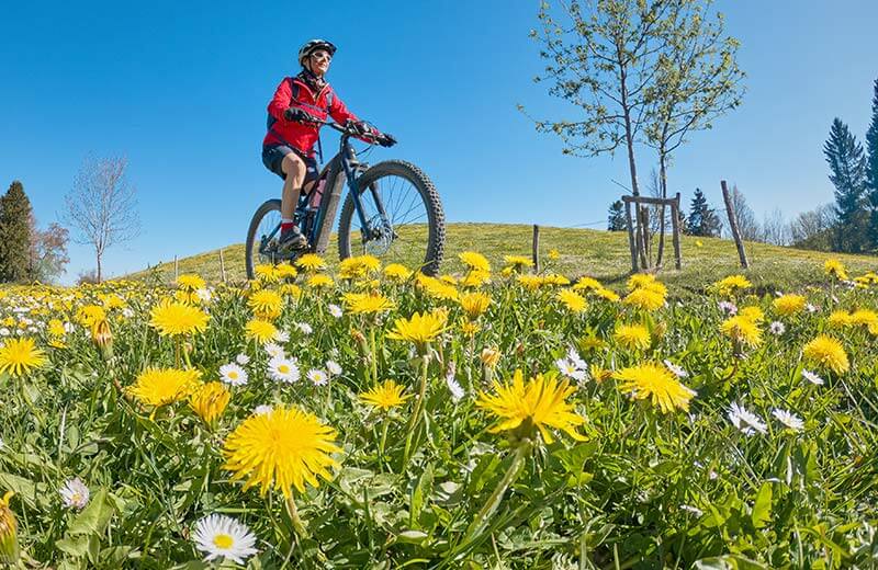 Ciclismo e mountain bike