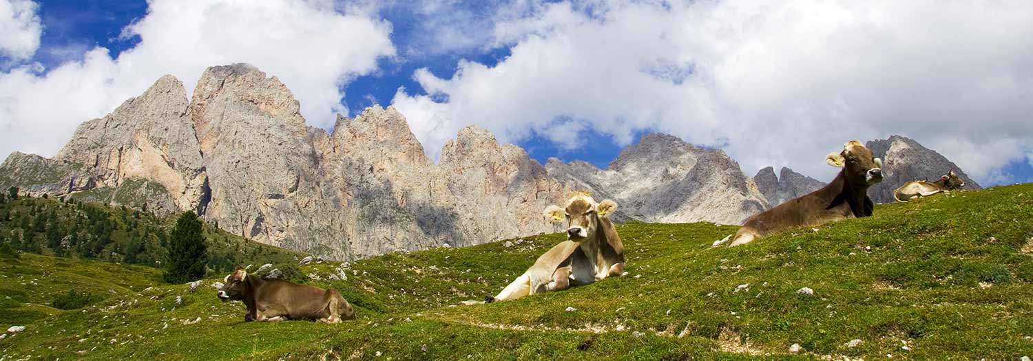 Parco Naturale Puez-Odle