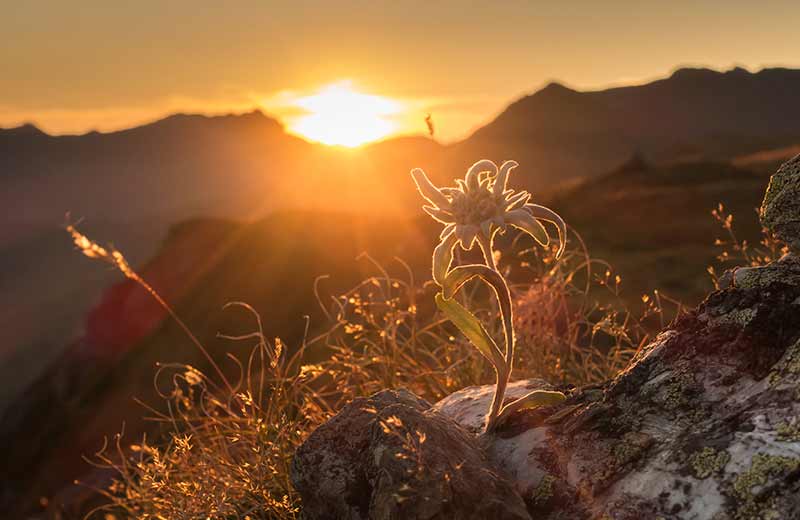 Escursioni a vedere l'alba