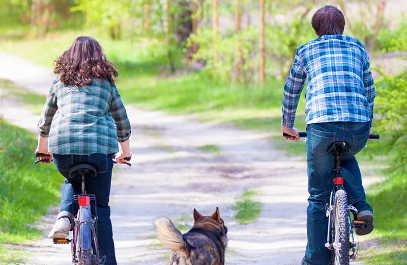 Ciclabile Dobbiaco-Brunico