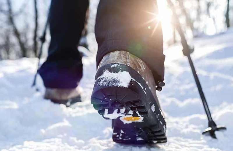 Escursione invernale alla Malga Antersasc