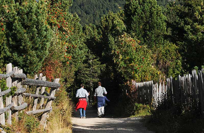 Escursioni in Valle Isarco