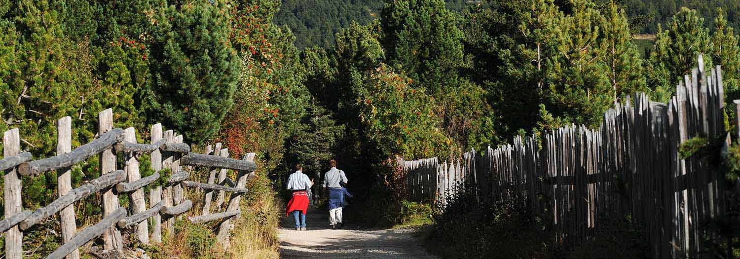 Escursioni in Valle Isarco