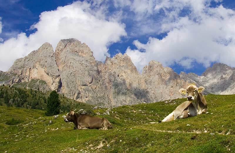 Giro ai piedi delle Odle