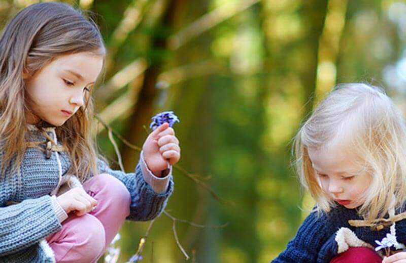 Itinerari geologici in Val Badia