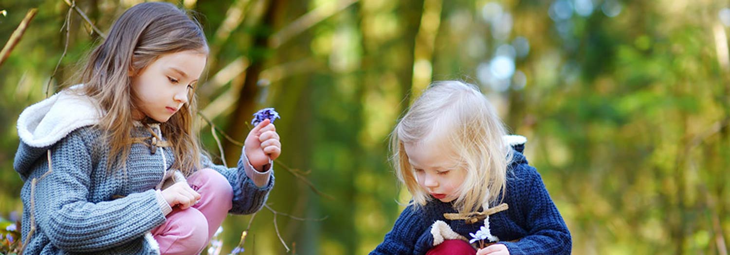 Itinerari geologici in Val Badia