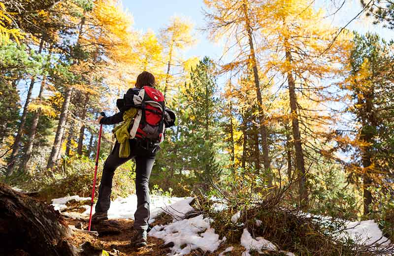 Escursione alle malghe di Seurasas