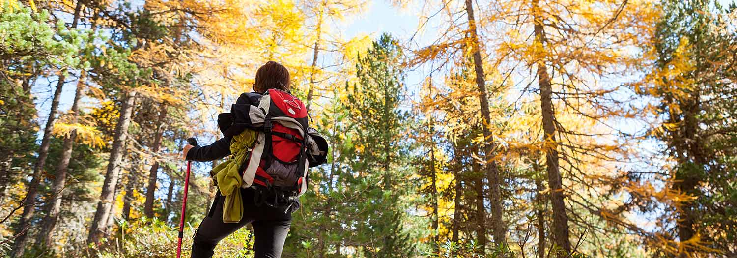 Escursione alle malghe di Seurasas