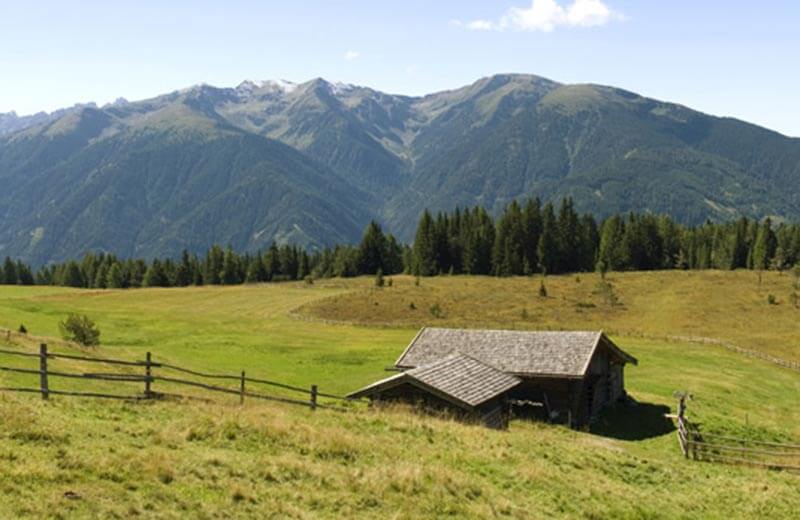 Percorso MTB per l'Alpe di Rodengo