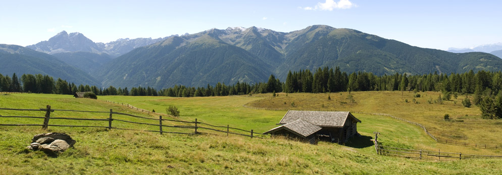 Percorso MTB per l'Alpe di Rodengo