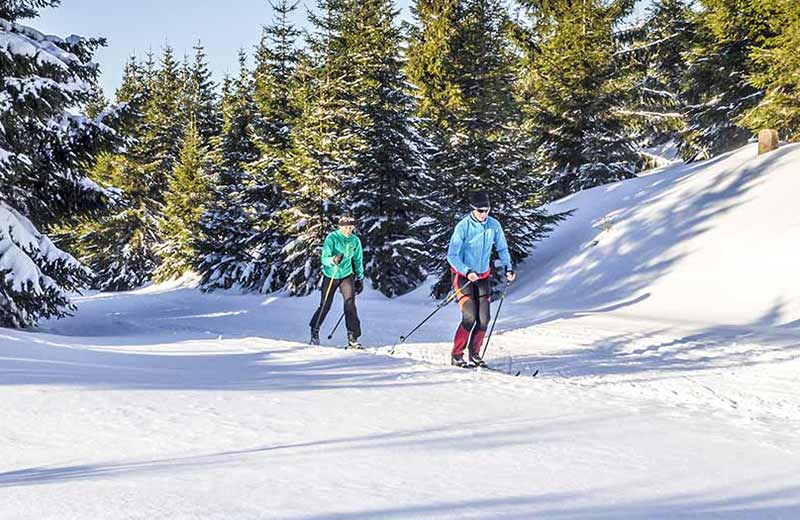 Pista di sci di fondo Dobbiaco-Cortina